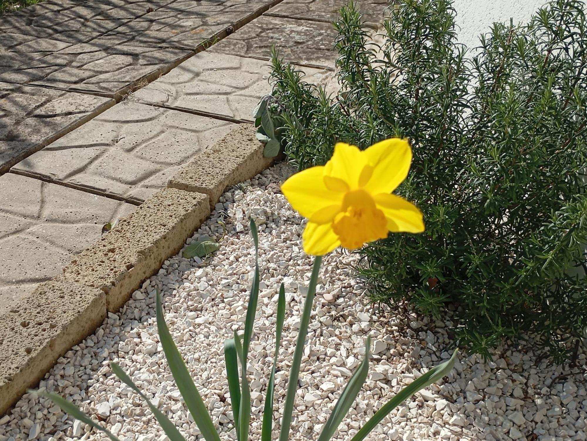 B&B Villa Alma San Costanzo Zewnętrze zdjęcie